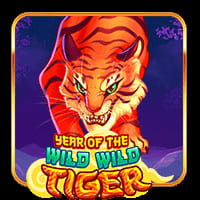 Year Of The Wild Wild Tiger